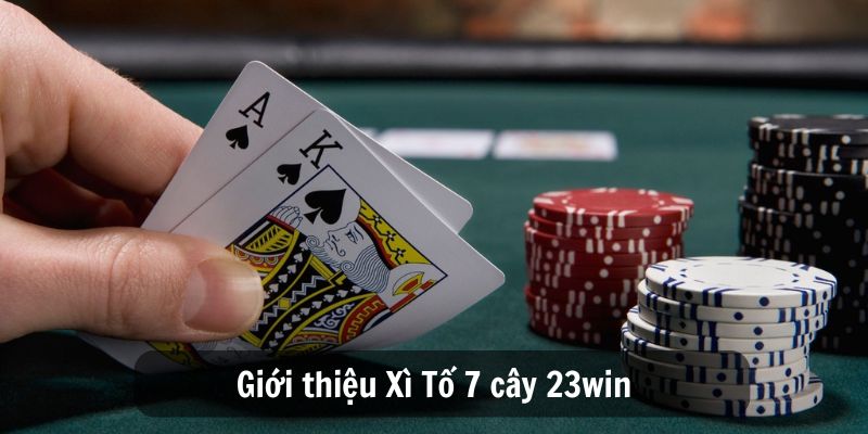 Giới thiệu Xì Tố 7 cây 23win