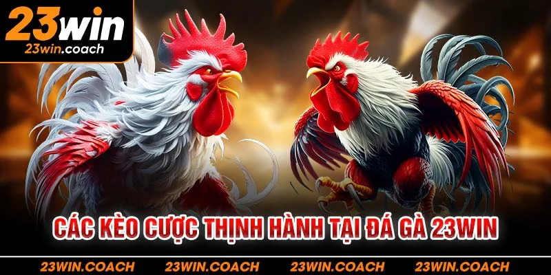 Các kèo cược thịnh hành tại đá gà 23WIN