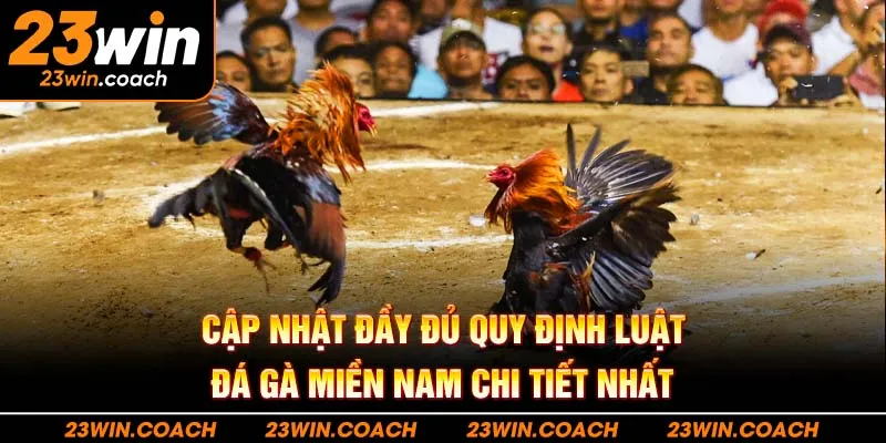 Cập nhật đầy đủ quy định luật đá gà miền nam chi tiết nhất