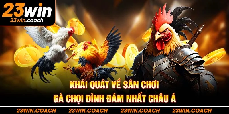 Khái quát về sân chơi gà chọi đình đám nhất châu Á