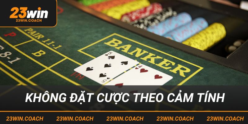 Không đặt cược cảm tính, luôn có chiến thuật rõ ràng