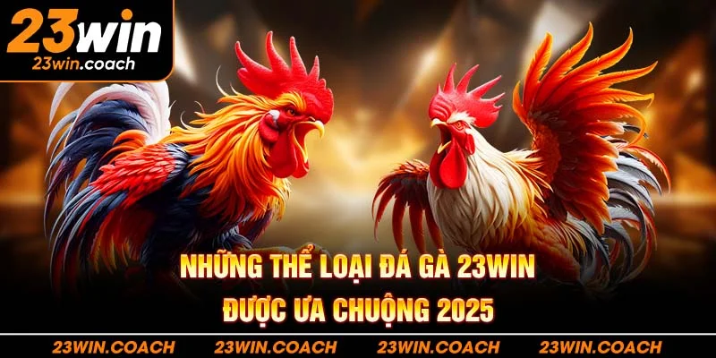 Những thể loại đá gà 23WIN được ưa chuộng 2025